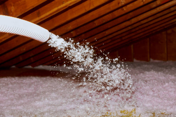 Best Cellulose Insulation in Dayton, KY
