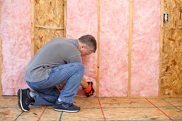 Best Eco-Friendly Insulation in Dayton, KY